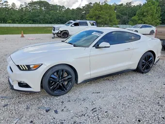 2017 Ford Mustang 1FA6P8TH5H5209857