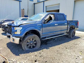 2016 Ford F-150 1FTEW1EF3GFC94217 Lot 58520266
