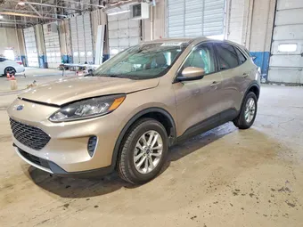 2020 Ford Escape 1FMCU9G66LUC26570 Lot 50565396