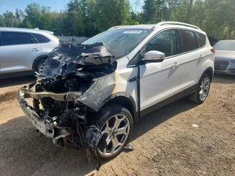 2019 Ford Escape 1FMCU9J94KUB16439 Lot 58973136