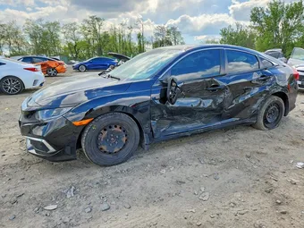 2020 Honda Civic 2HGFC2F64LH536153 Lot 50615056