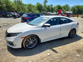 2020 Honda Civic 2HGFC1F37LH680828 Lot 59165026