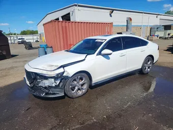 2024 Honda Accord 1HGCY1F36RA054831 Lot 53277096