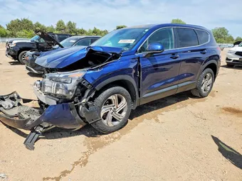 2021 Hyundai Santa Fe 5NMS1DAJ5MH355031 Lot 55989726