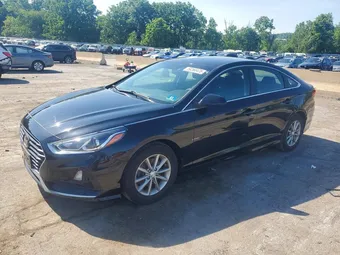 2019 Hyundai Sonata 5NPE24AFXKH749890 Lot 59268476