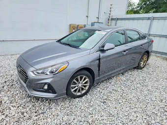 2019 Hyundai Sonata 5NPE24AF7KH754917 Lot 54791386