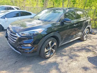 2017 Hyundai Tucson KM8J3CA20HU435758 Lot 53044116