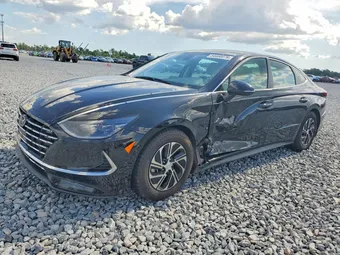 2023 Hyundai Sonata KMHL24JJ3PA079699 Lot 54460076