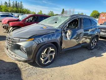 2022 Hyundai Tucson KM8JCCA19NU072377 Lot 55074816