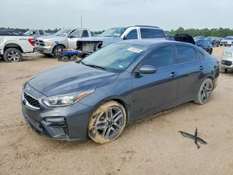 2019 Kia Forte 3KPF34AD6KE015896 Lot 61362726