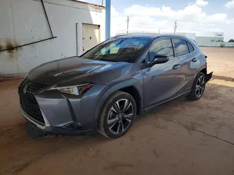 2019 Lexus UX JTHU9JBH8K2000303