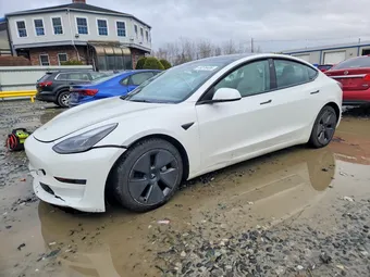 2023 Tesla Model 3 5YJ3E1EA2PF561558 Lot 46076406