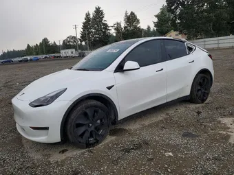2023 Tesla Model Y 7SAYGDEEXPF682572 Lot 60808256