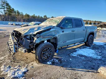 2025 Toyota Tundra 5TFNA5DB9SX302392