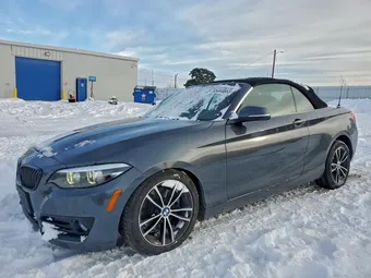 2020 BMW 2 Series WBA2K1C01L7G10800