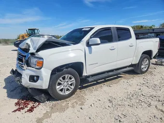 2019 GMC Canyon 1GTG6CEN9K1301303