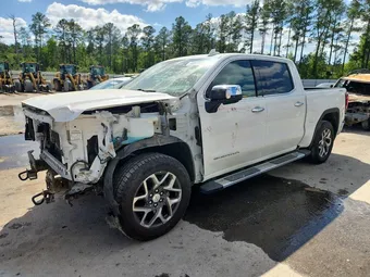 2023 GMC Sierra 1500 3GTUUDEDXPG176830 Lot 48875966