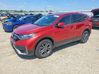 2020 Honda CR-V 5J6RW2H82LL015107 Lot 53558766