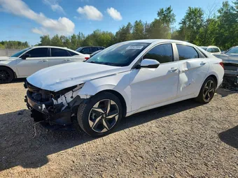2021 Hyundai Elantra KMHLN4AGXMU180681 Lot 55547686