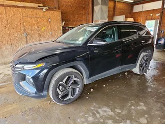 2023 Hyundai Tucson 5NMJECAE8PH243129 Lot 59127536