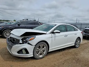 2019 Hyundai Sonata 5NPE34AF0KH757994 Lot 53733066