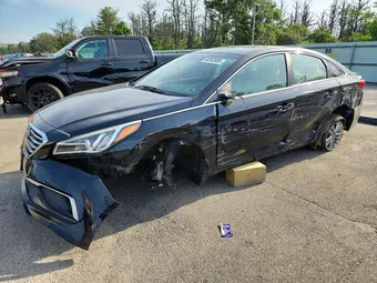 2016 Hyundai Sonata 5NPE24AF7GH407952