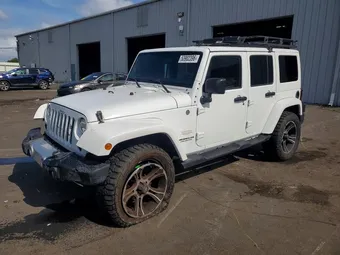 2015 Jeep Wrangler 1C4BJWEG8FL678520 Lot 53902396