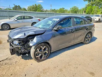 2020 Kia Forte 3KPF24AD8LE164492 Lot 48216186