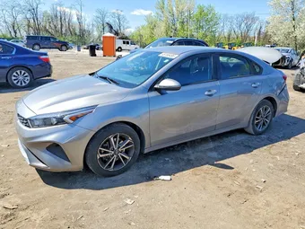 2022 Kia Forte 3KPF24AD8NE430970 Lot 48766496