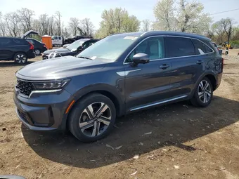 2023 Kia Sorento KNDRKDLG4P5184891 Lot 48590006