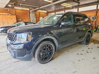 2025 Kia Telluride 5XYP5DGC1SG627326