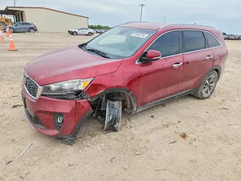 2019 Kia Sorento 5XYPH4A59KG525483 Lot 53936736