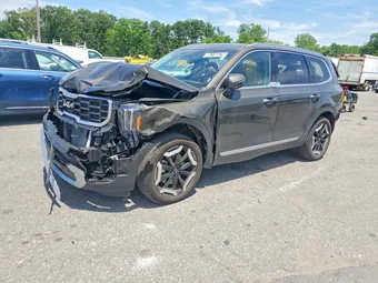 2025 Kia Telluride 5XYP6DGC5SG687817