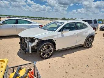 2019 Lexus UX 250H JTHU9JBH2K2013919