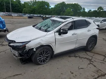 2022 Lexus NX 2T2GKCEZ5NC007441 Lot 57344536