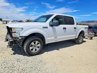 2015 Ford F-150 1FTEW1EFXFKD91372 Lot 61894896