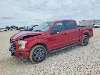 2015 Ford F-150 1FTEW1CF8FKD15572 Lot 54925256
