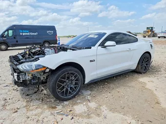 2019 Ford Mustang 1FA6P8CF3K5202086