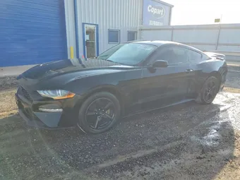 2019 Ford Mustang 1FA6P8TH6K5152950