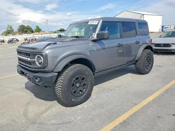 2024 Ford Bronco 1FMEE1BP0RLB50768 Lot 55389116