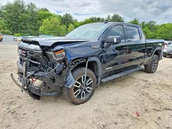 2022 GMC Sierra 1500 1GTPUEEL4NZ511670 Lot 55382056