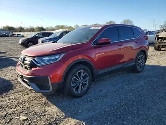 2021 Honda CR-V 5J6RW1H59MA012816 Lot 41605776
