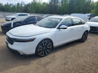 2024 Honda Accord 1HGCY2F84RA800548 Lot 54748076