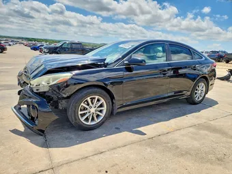 2019 Hyundai Sonata 5NPE24AFXKH796160 Lot 57209336