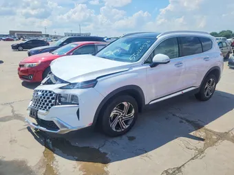 2023 Hyundai Santa Fe 5NMS3DAJXPH531862 Lot 55020576