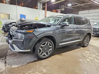 2023 Hyundai Santa Fe 5NMS4DAL3PH651453 Lot 52428226