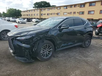 2025 Lexus NX 2T2ADCAZ4SC024183 Lot 55281396