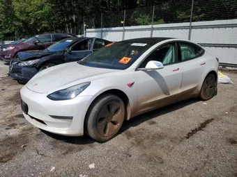 2020 Tesla Model 3 5YJ3E1EB4LF617891 Lot 67403155