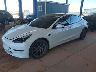 2022 Tesla Model 3 5YJ3E1EB0NF160239 Lot 53342206