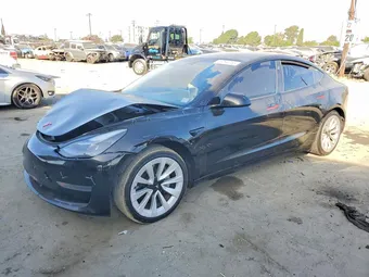 2021 Tesla Model 3 5YJ3E1EA6MF095905 Lot 56094056